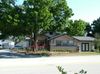 520 E Strawbridge Ave photo